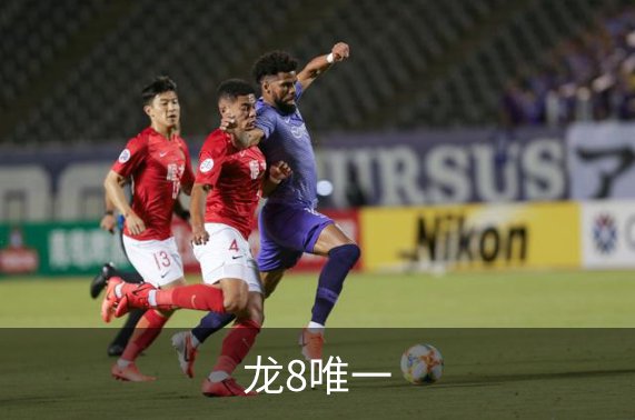 龙8唯一概况